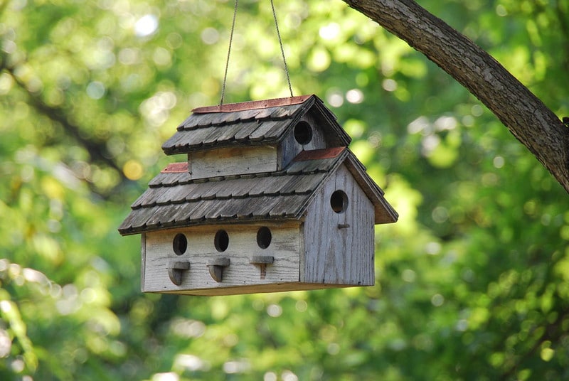 Nichoir toit coloré rose oiseaux du jardin : Nid pour oiseaux de